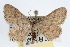  ( - RBMIS-0040)  @14 [ ] CreativeCommons - Attribution (2009) Unspecified Centre for Biodiversity Genomics