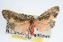  ( - RBMIS-0047)  @13 [ ] CreativeCommons - Attribution (2009) Unspecified Centre for Biodiversity Genomics