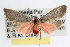  ( - RBMIS-0048)  @13 [ ] CreativeCommons - Attribution (2009) Unspecified Centre for Biodiversity Genomics