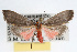  ( - RBMIS-0058)  @13 [ ] CreativeCommons - Attribution (2009) Unspecified Centre for Biodiversity Genomics