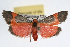  ( - RBMIS-0067)  @14 [ ] CreativeCommons - Attribution (2009) Unspecified Centre for Biodiversity Genomics