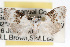  ( - RBMIS-0079)  @11 [ ] CreativeCommons - Attribution (2009) Unspecified Centre for Biodiversity Genomics