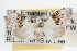  ( - RBMIS-0080)  @11 [ ] CreativeCommons - Attribution (2009) Unspecified Centre for Biodiversity Genomics