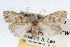  ( - RBMIS-0086)  @11 [ ] CreativeCommons - Attribution (2009) Unspecified Centre for Biodiversity Genomics