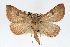  ( - RBMIS-0102)  @14 [ ] CreativeCommons - Attribution (2009) Unspecified Centre for Biodiversity Genomics