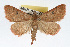  ( - RBMIS-0103)  @14 [ ] CreativeCommons - Attribution (2009) Unspecified Centre for Biodiversity Genomics