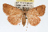  ( - RBMIS-0104)  @11 [ ] CreativeCommons - Attribution (2009) Unspecified Centre for Biodiversity Genomics