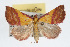  ( - RBMIS-0116)  @14 [ ] CreativeCommons - Attribution (2009) Unspecified Centre for Biodiversity Genomics