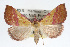  ( - RBMIS-0119)  @14 [ ] CreativeCommons - Attribution (2009) Unspecified Centre for Biodiversity Genomics