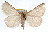  ( - RBMIS-0159)  @14 [ ] CreativeCommons - Attribution (2009) Unspecified Centre for Biodiversity Genomics