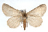  ( - RBMIS-0161)  @15 [ ] CreativeCommons - Attribution (2009) Unspecified Centre for Biodiversity Genomics
