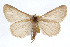  ( - RBMIS-0162)  @15 [ ] CreativeCommons - Attribution (2009) Unspecified Centre for Biodiversity Genomics