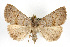  ( - RBMIS-0211)  @14 [ ] CreativeCommons - Attribution (2009) Unspecified Centre for Biodiversity Genomics