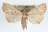  ( - RBMIS-0217)  @11 [ ] CreativeCommons - Attribution (2009) Unspecified Centre for Biodiversity Genomics
