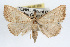  ( - RBMIS-0219)  @14 [ ] CreativeCommons - Attribution (2009) Unspecified Centre for Biodiversity Genomics