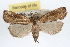  ( - RBMIS-0228)  @14 [ ] CreativeCommons - Attribution (2009) Unspecified Centre for Biodiversity Genomics