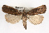  ( - RBMIS-0230)  @13 [ ] CreativeCommons - Attribution (2009) Unspecified Centre for Biodiversity Genomics