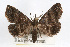  ( - RBMIS-0238)  @13 [ ] CreativeCommons - Attribution (2009) Unspecified Centre for Biodiversity Genomics