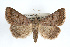  ( - RBMIS-0259)  @14 [ ] CreativeCommons - Attribution (2009) Unspecified Centre for Biodiversity Genomics