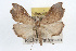  ( - RBMIS-0329)  @11 [ ] CreativeCommons - Attribution (2009) Unspecified Centre for Biodiversity Genomics