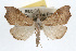  ( - RBMIS-0330)  @11 [ ] CreativeCommons - Attribution (2009) Unspecified Centre for Biodiversity Genomics