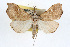  ( - RBMIS-0331)  @11 [ ] CreativeCommons - Attribution (2009) Unspecified Centre for Biodiversity Genomics