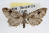  ( - RBMIS-0371)  @14 [ ] CreativeCommons - Attribution (2009) Unspecified Centre for Biodiversity Genomics