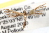  ( - RBMIS-0506)  @11 [ ] CreativeCommons - Attribution (2009) Unspecified Centre for Biodiversity Genomics