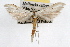  ( - RBMIS-0521)  @11 [ ] CreativeCommons - Attribution (2009) Unspecified Centre for Biodiversity Genomics