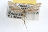  ( - RBMIS-0532)  @11 [ ] CreativeCommons - Attribution (2009) Unspecified Centre for Biodiversity Genomics
