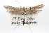  ( - RBMIS-0537)  @14 [ ] CreativeCommons - Attribution (2009) Unspecified Centre for Biodiversity Genomics
