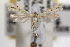  ( - RBMIS-0547)  @11 [ ] CreativeCommons - Attribution (2009) Unspecified Centre for Biodiversity Genomics