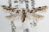  ( - RBMIS-0615)  @11 [ ] CreativeCommons - Attribution (2009) Unspecified Centre for Biodiversity Genomics