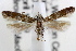  ( - RBMIS-0620)  @11 [ ] CreativeCommons - Attribution (2009) Unspecified Centre for Biodiversity Genomics