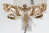 ( - RBMIS-0754)  @14 [ ] CreativeCommons - Attribution (2009) Unspecified Centre for Biodiversity Genomics
