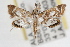  ( - RBMIS-0755)  @13 [ ] CreativeCommons - Attribution (2009) Unspecified Centre for Biodiversity Genomics