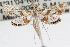  ( - RBMIS-0756)  @13 [ ] CreativeCommons - Attribution (2009) Unspecified Centre for Biodiversity Genomics