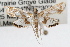  ( - RBMIS-0757)  @14 [ ] CreativeCommons - Attribution (2009) Unspecified Centre for Biodiversity Genomics