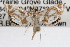  ( - RBMIS-0758)  @13 [ ] CreativeCommons - Attribution (2009) Unspecified Centre for Biodiversity Genomics