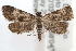  ( - RBMIS-0779)  @13 [ ] CreativeCommons - Attribution (2009) Unspecified Centre for Biodiversity Genomics