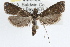  ( - RBMIS-0789)  @11 [ ] CreativeCommons - Attribution (2009) Unspecified Centre for Biodiversity Genomics