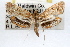  ( - RBMIS-0794)  @13 [ ] CreativeCommons - Attribution (2009) Unspecified Centre for Biodiversity Genomics