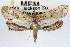  ( - RBMIS-0795)  @14 [ ] CreativeCommons - Attribution (2009) Unspecified Centre for Biodiversity Genomics