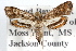  ( - RBMIS-0797)  @13 [ ] CreativeCommons - Attribution (2009) Unspecified Centre for Biodiversity Genomics