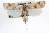  ( - RBMIS-0809)  @14 [ ] CreativeCommons - Attribution (2009) Unspecified Centre for Biodiversity Genomics