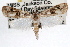  ( - RBMIS-0810)  @13 [ ] CreativeCommons - Attribution (2009) Unspecified Centre for Biodiversity Genomics