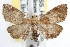 ( - RBMIS-0856)  @11 [ ] CreativeCommons - Attribution (2009) Unspecified Centre for Biodiversity Genomics