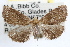  ( - RBMIS-0858)  @11 [ ] CreativeCommons - Attribution (2009) Unspecified Centre for Biodiversity Genomics