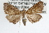  ( - RBMIS-0859)  @11 [ ] CreativeCommons - Attribution (2009) Unspecified Centre for Biodiversity Genomics