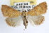 ( - RBMIS-0866)  @11 [ ] CreativeCommons - Attribution (2009) Unspecified Centre for Biodiversity Genomics